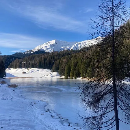 Appartement Haus Ginseng
