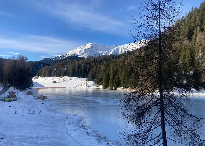 Apartament Haus Ginseng